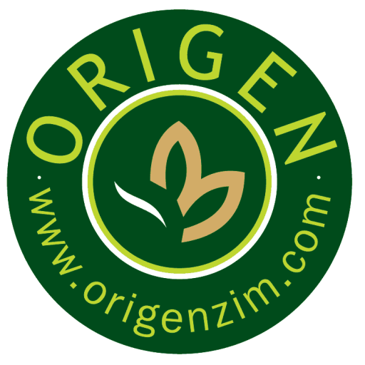 Origen
